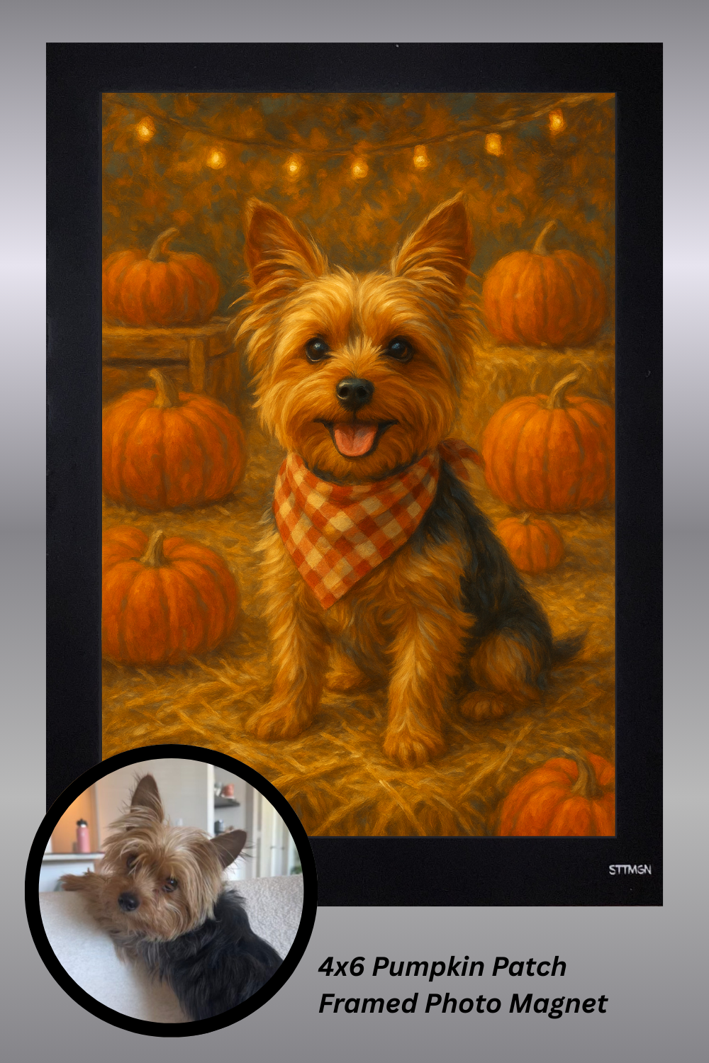 Pumpkin Patch - Photo Magnet