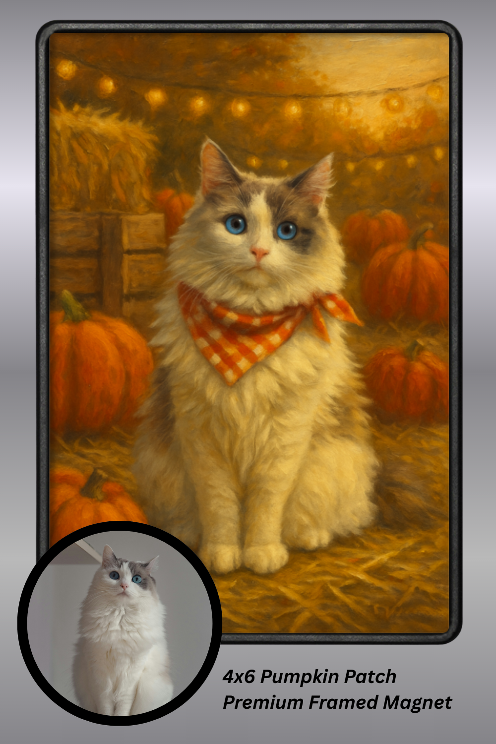 Pumpkin Patch - Premium Framed Magnet