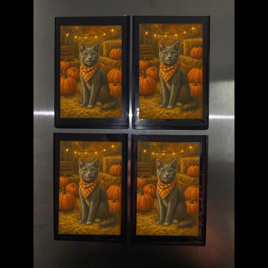 Pumpkin Patch - Mini Photo Magnets (Set Of Four)