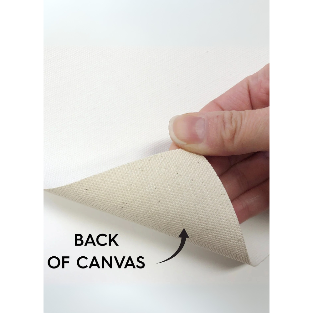 Birthday Bash - Canvas Poster